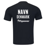 Denmark + Flypower Logo